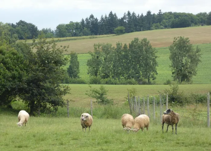 Hébergement de vacances Paloumat Larbey